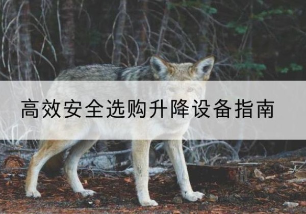兰坪升降货梯厂家推荐-*安全选购升降设备指南