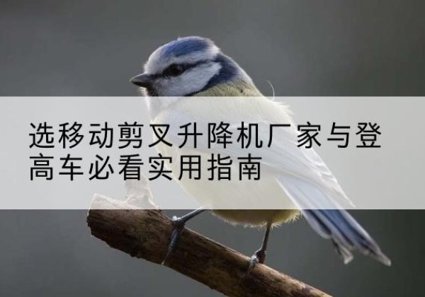 兰坪电动升降机厂家-选移动剪叉升降机厂家与登高车必看实用指南
