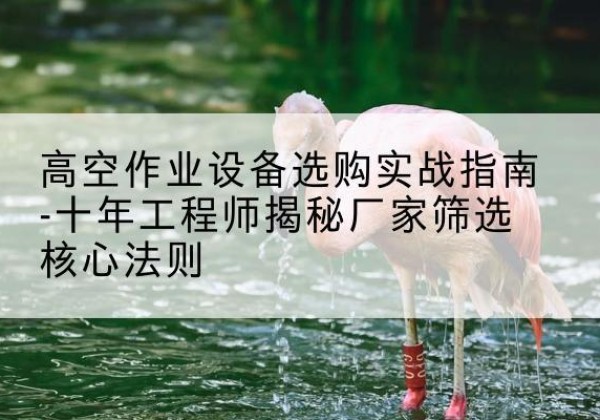 兰坪剪叉式升降机厂家-高空作业设备选购实战指南-十年工程师揭秘厂家筛选核心法则